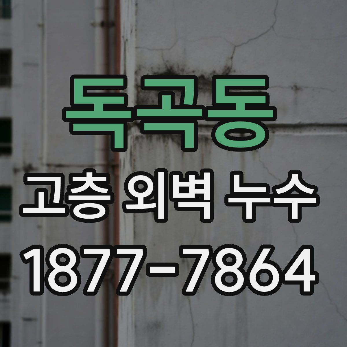 독곡동 고층 외벽 누수