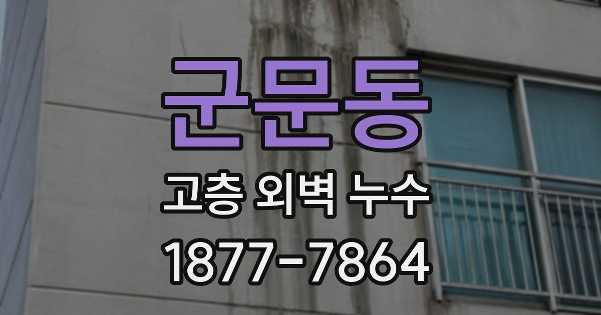 군문동 고층 외벽 누수