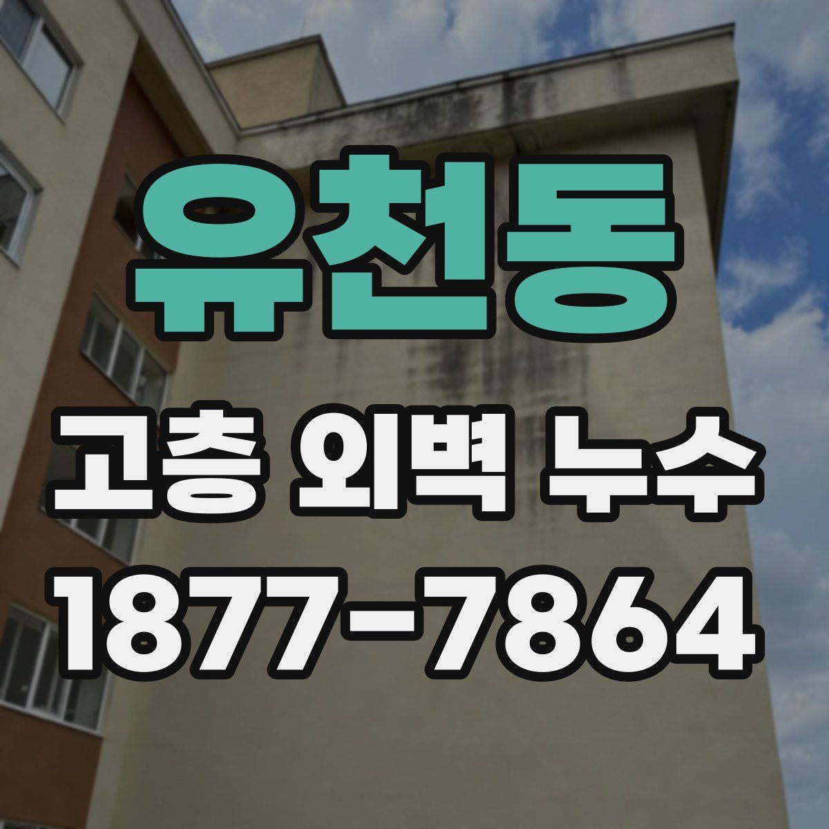 유천동 고층 외벽 누수