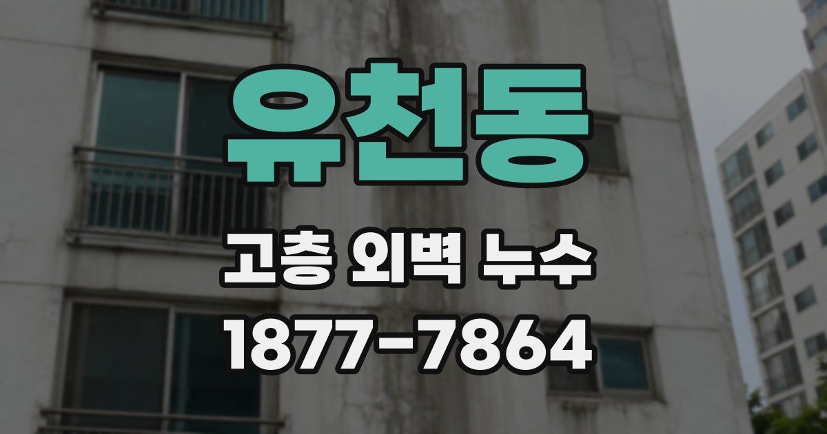유천동 고층 외벽 누수