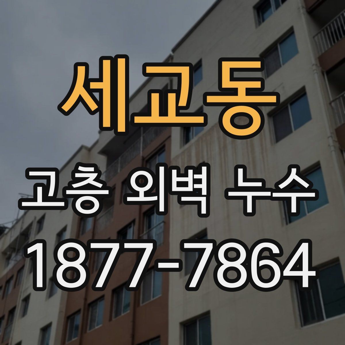 세교동 고층 외벽 누수 정기 점검이 필요한 이유