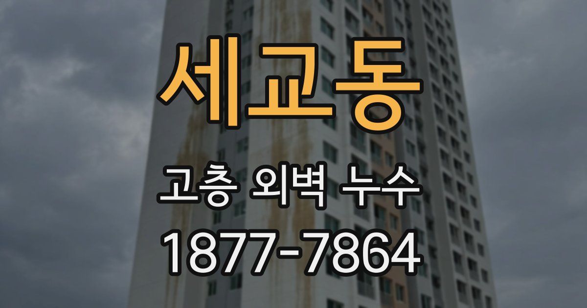 세교동 고층 외벽 누수