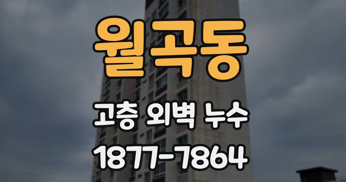 월곡동 고층 외벽 누수