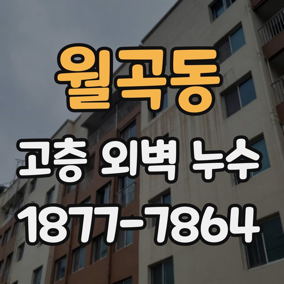 월곡동 고층 외벽 누수