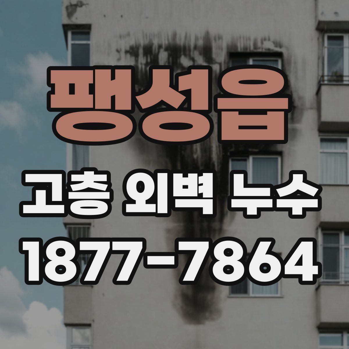 팽성읍 고층 외벽 누수