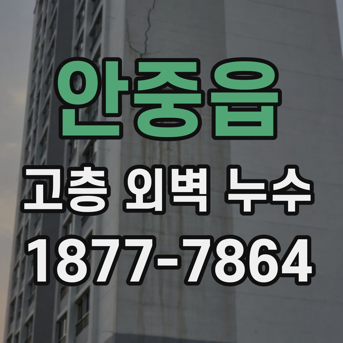 안중읍 고층 외벽 누수