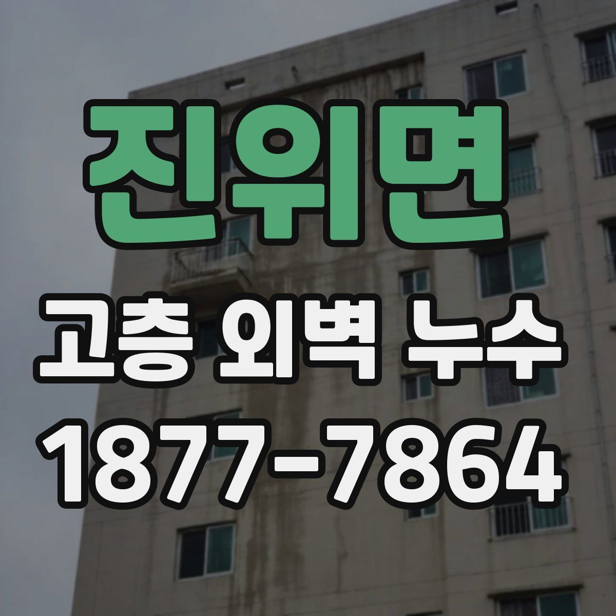진위면 고층 외벽 누수