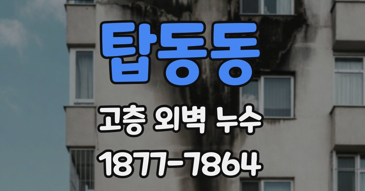 탑동동 고층 외벽 누수