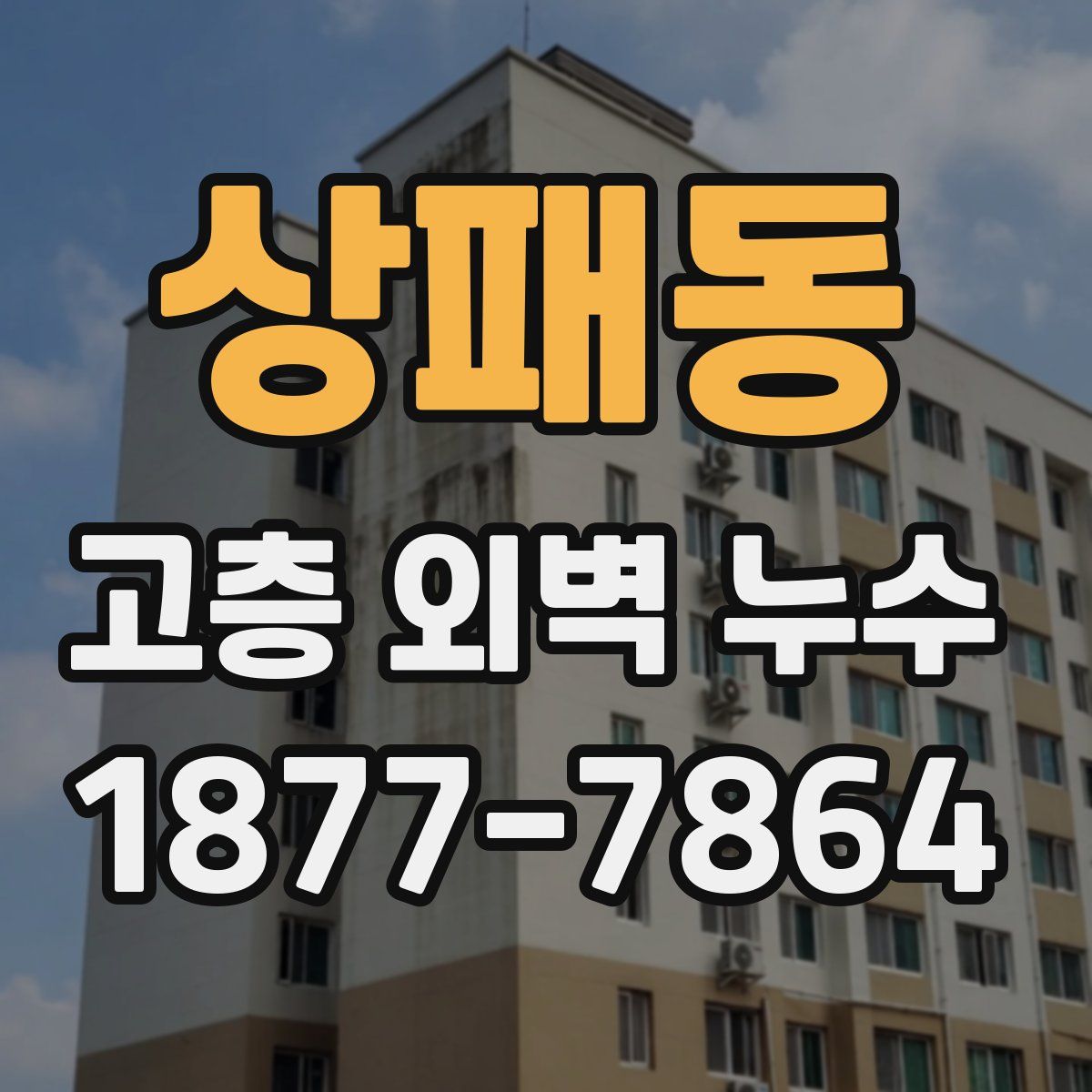 상패동 고층 외벽 누수