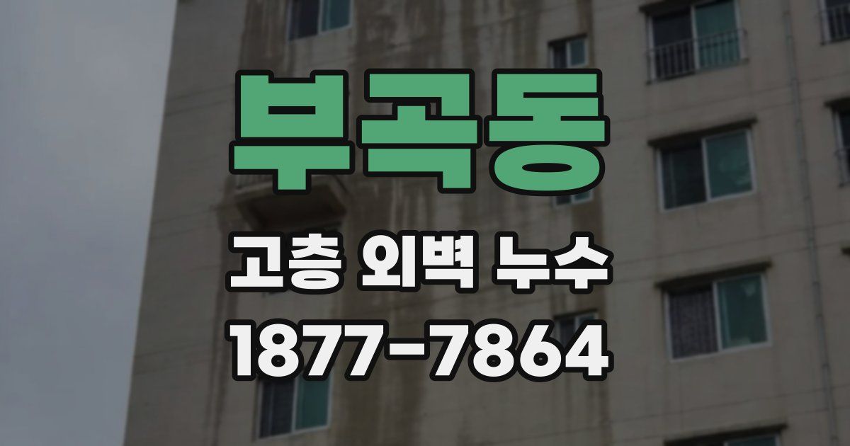 부곡동 고층 외벽 누수