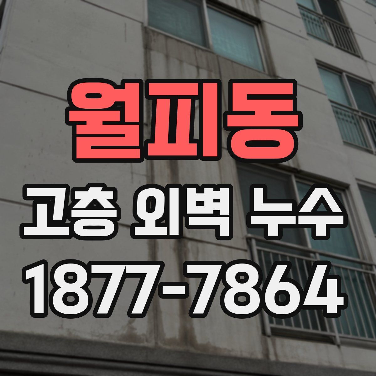 월피동 고층 외벽 누수