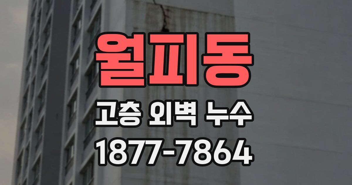 월피동 고층 외벽 누수