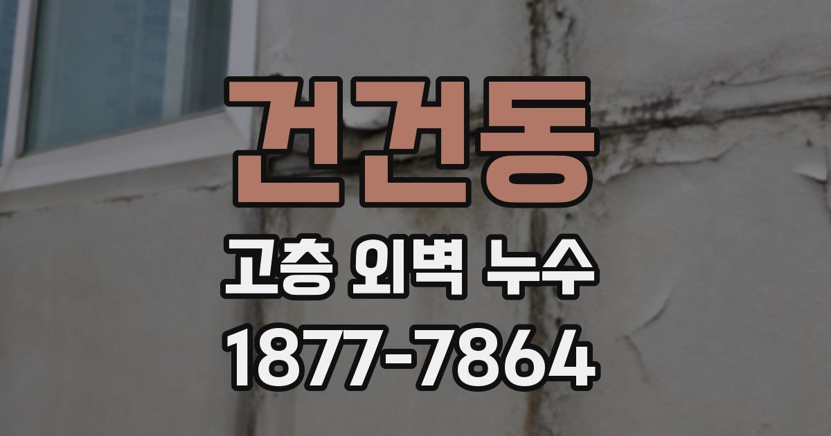 건건동 고층 외벽 누수
