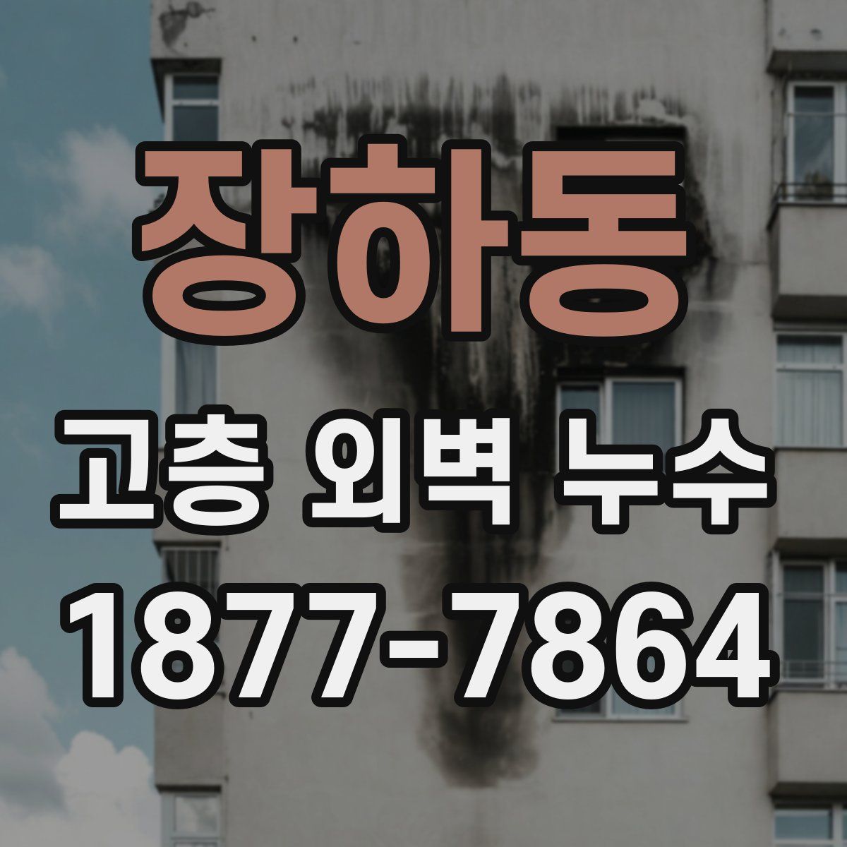 장하동 고층 외벽 누수