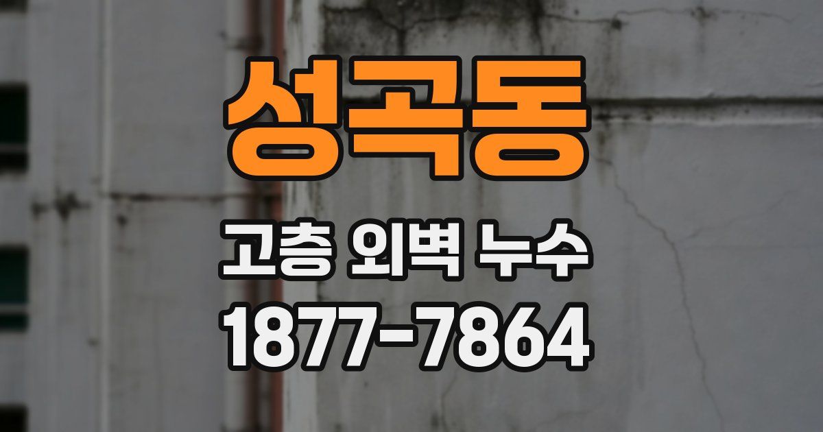 성곡동 고층 외벽 누수