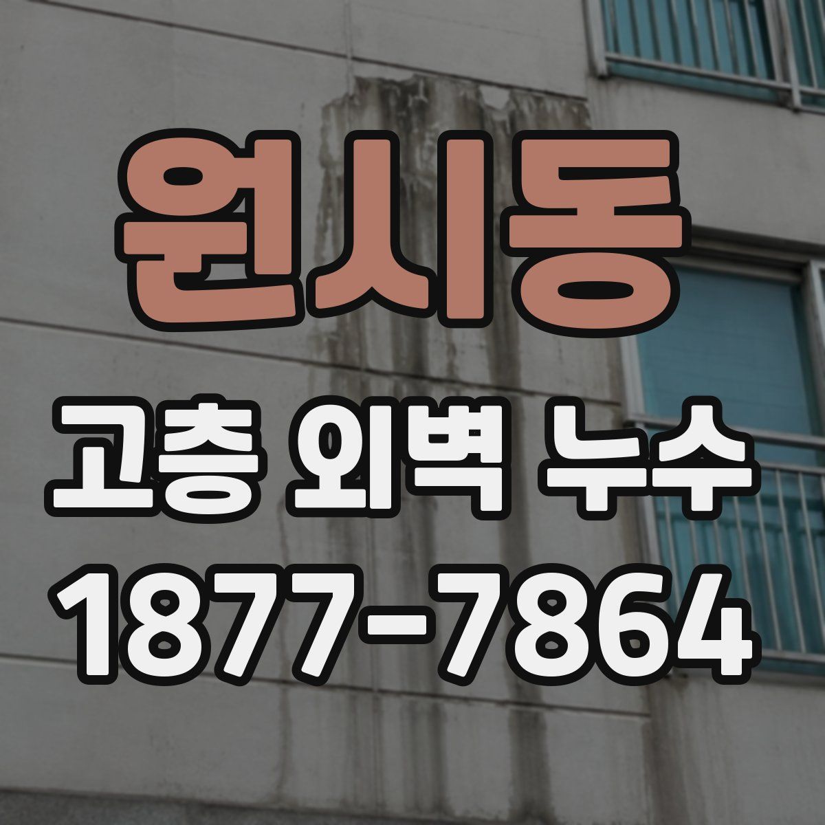 원시동 고층 외벽 누수