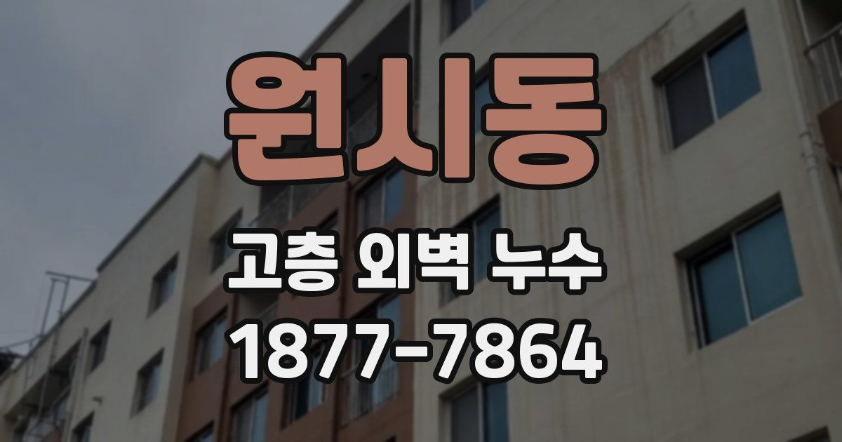 원시동 고층 외벽 누수