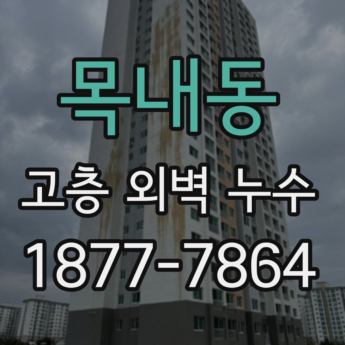 목내동 고층 외벽 누수 보수 재료 선택 시 체크할 사항