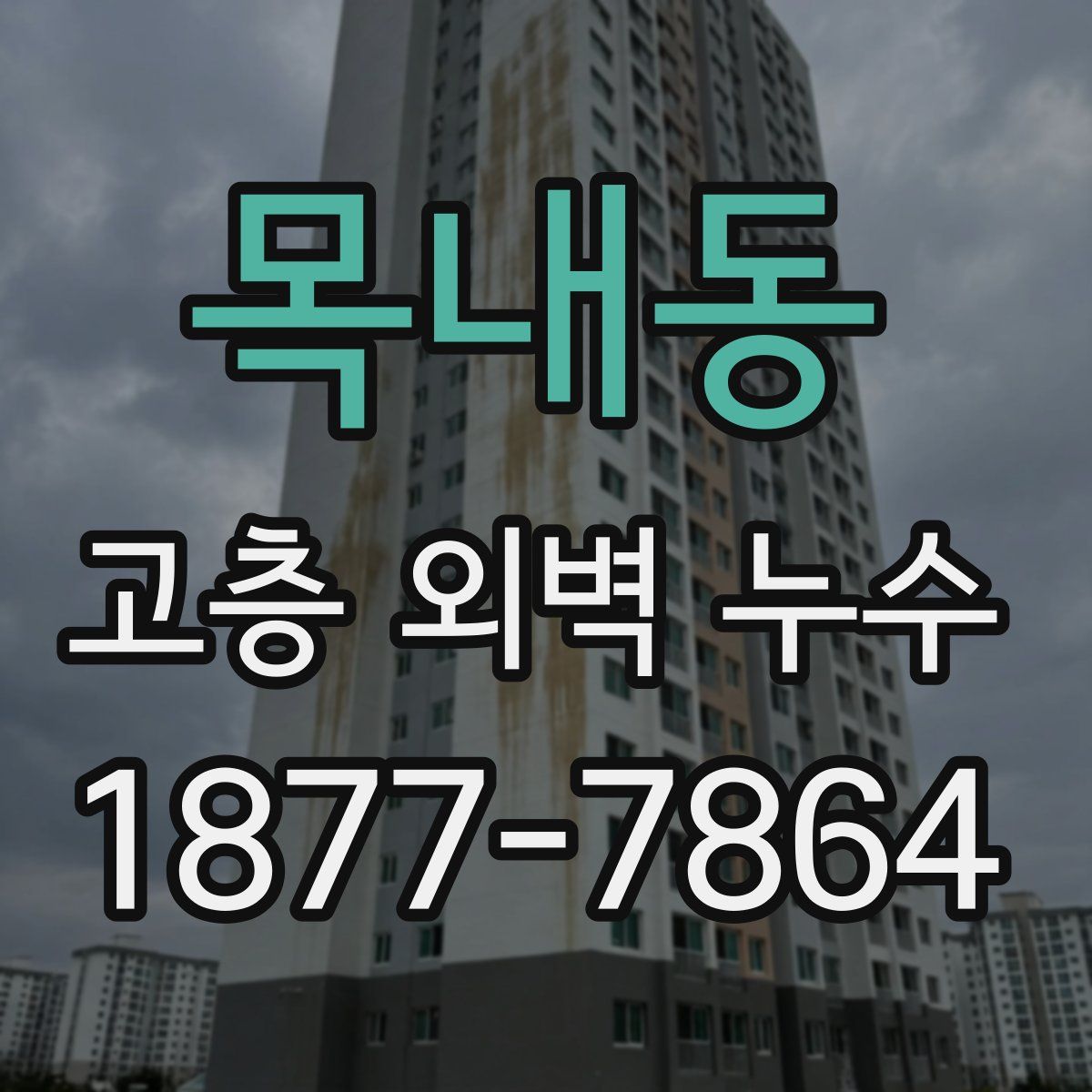 목내동 고층 외벽 누수