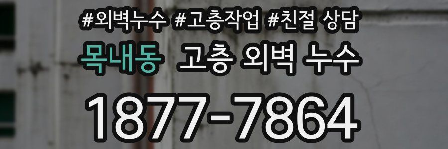 목내동 고층 외벽 누수