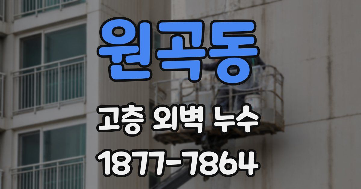 원곡동 고층 외벽 누수