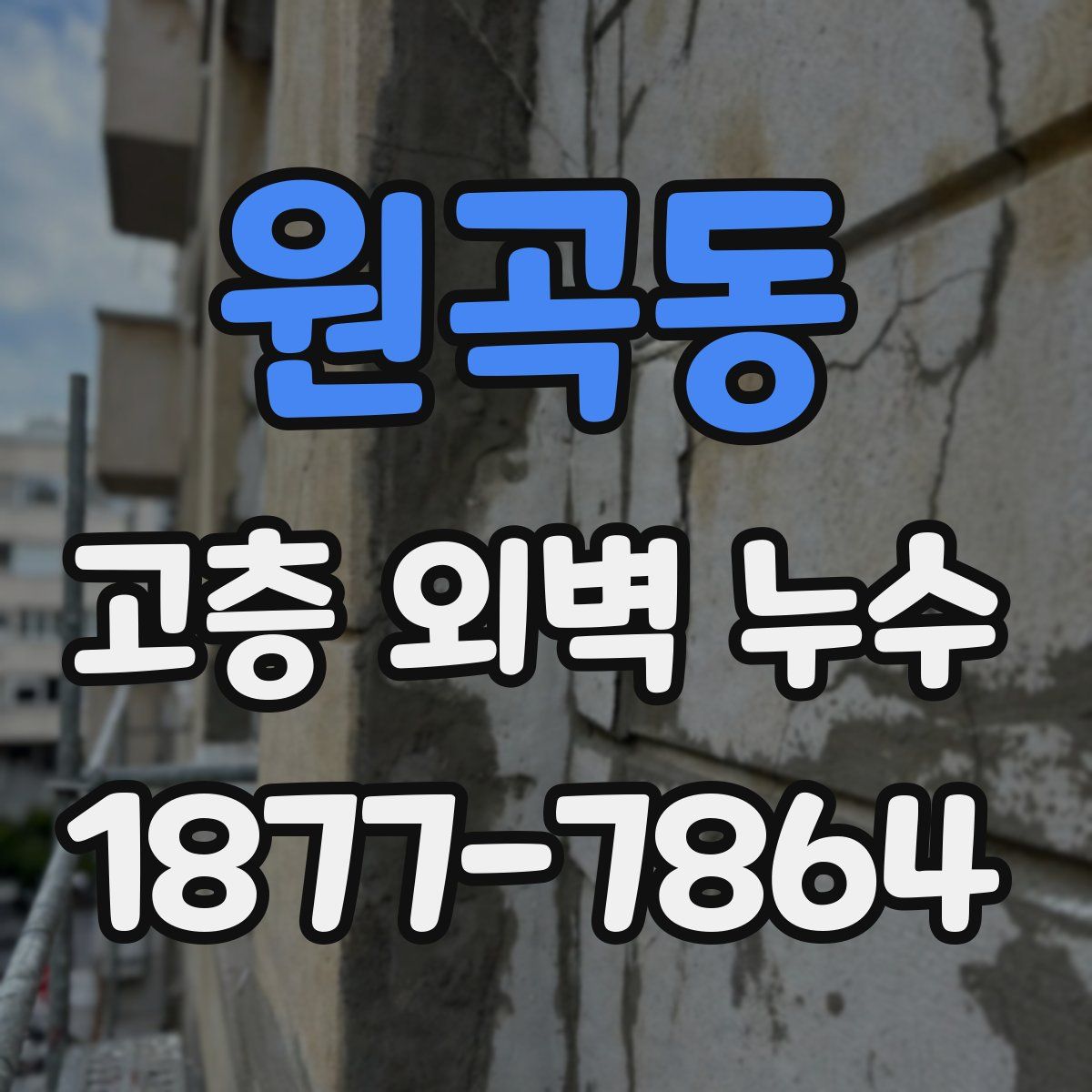 원곡동 고층 외벽 누수