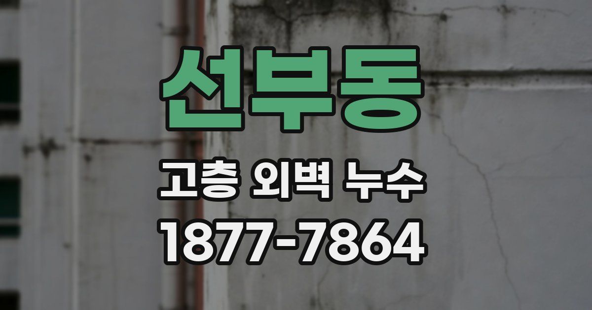 선부동 고층 외벽 누수