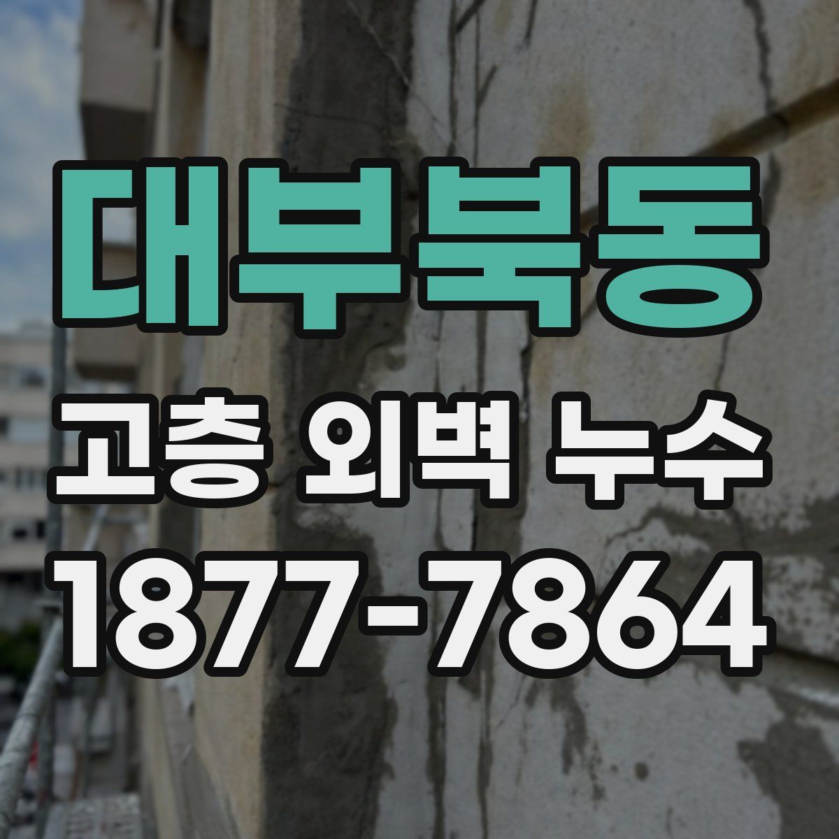 대부북동 고층 외벽 누수