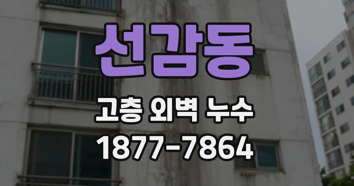 선감동 고층 외벽 누수