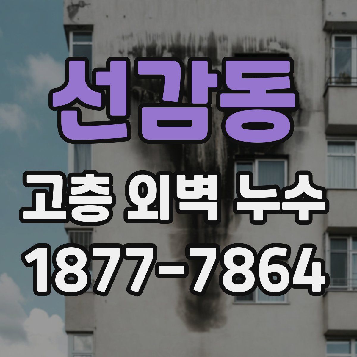 선감동 고층 외벽 누수