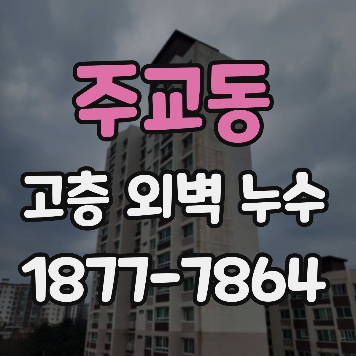 주교동 고층 외벽 누수