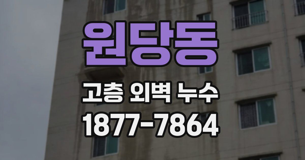 원당동 고층 외벽 누수