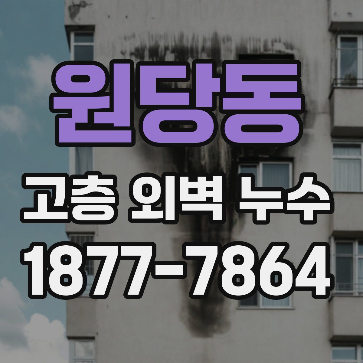 원당동 고층 외벽 누수
