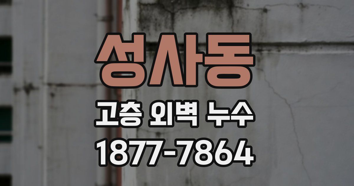 성사동 고층 외벽 누수