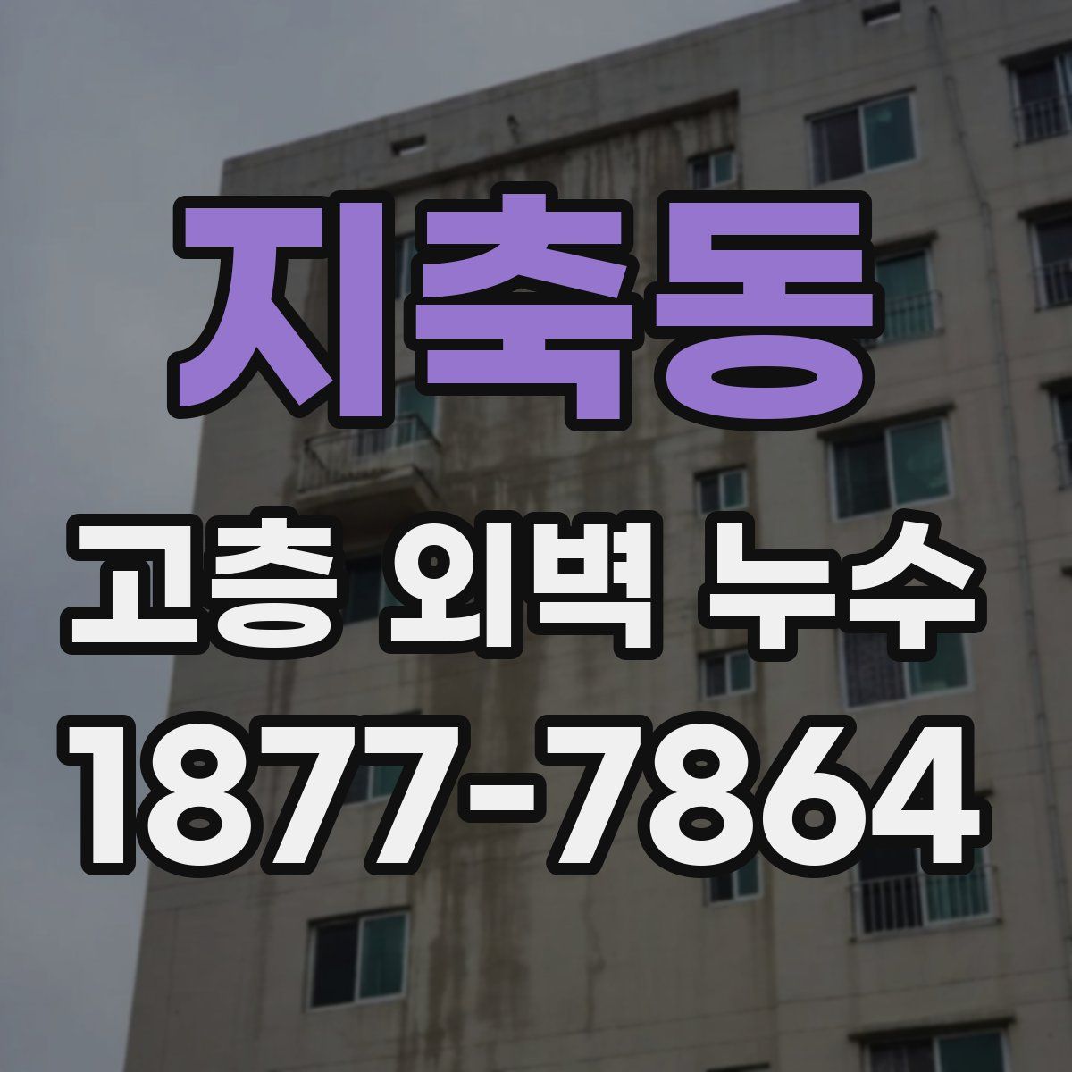 지축동 고층 외벽 누수