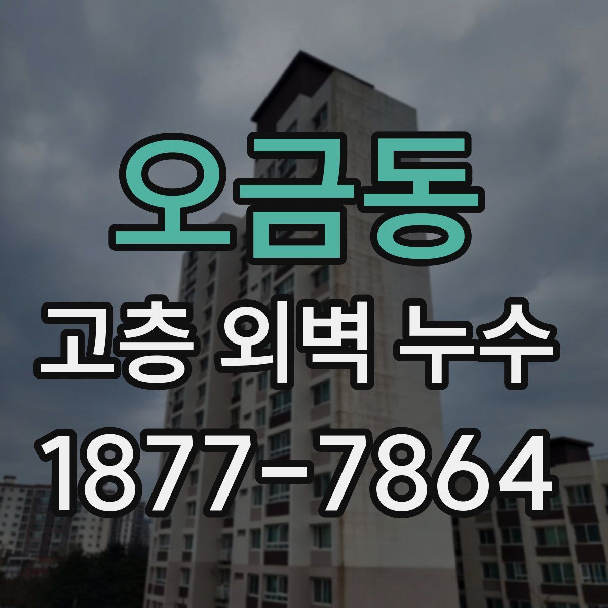 오금동 고층 외벽 누수