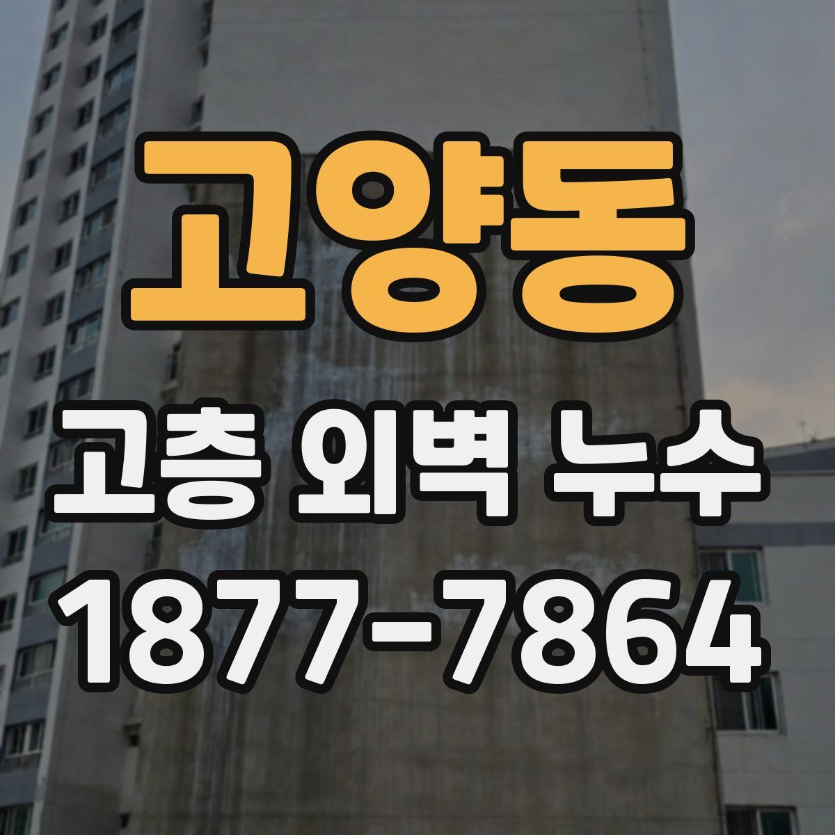 고양동 고층 외벽 누수