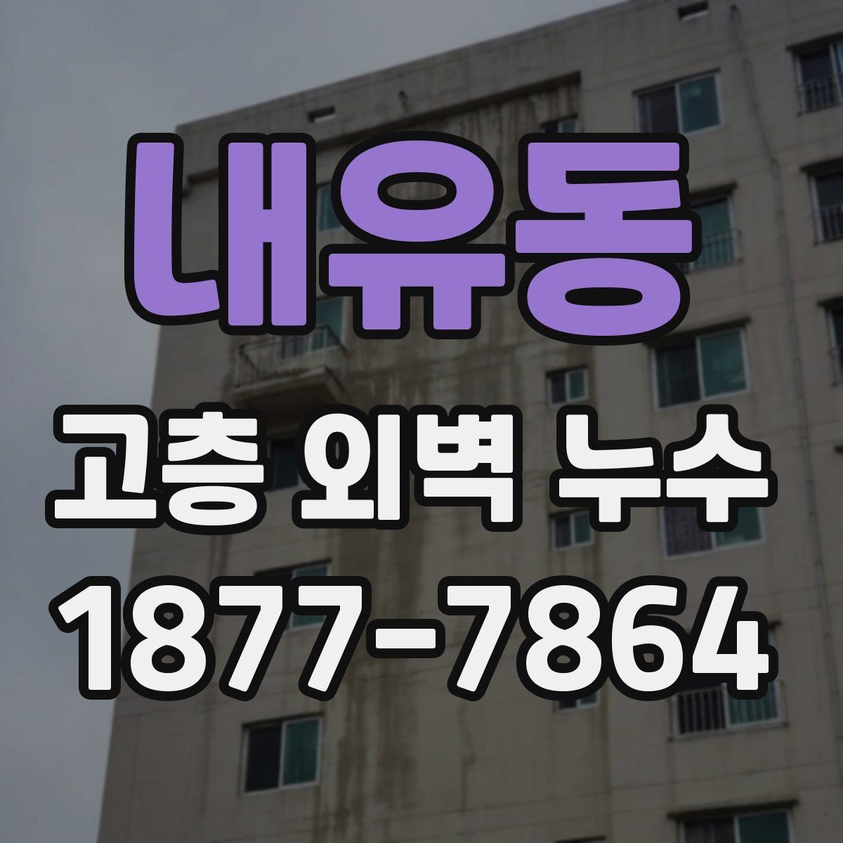 내유동 고층 외벽 누수 관리에서 중요한 유지보수 항목