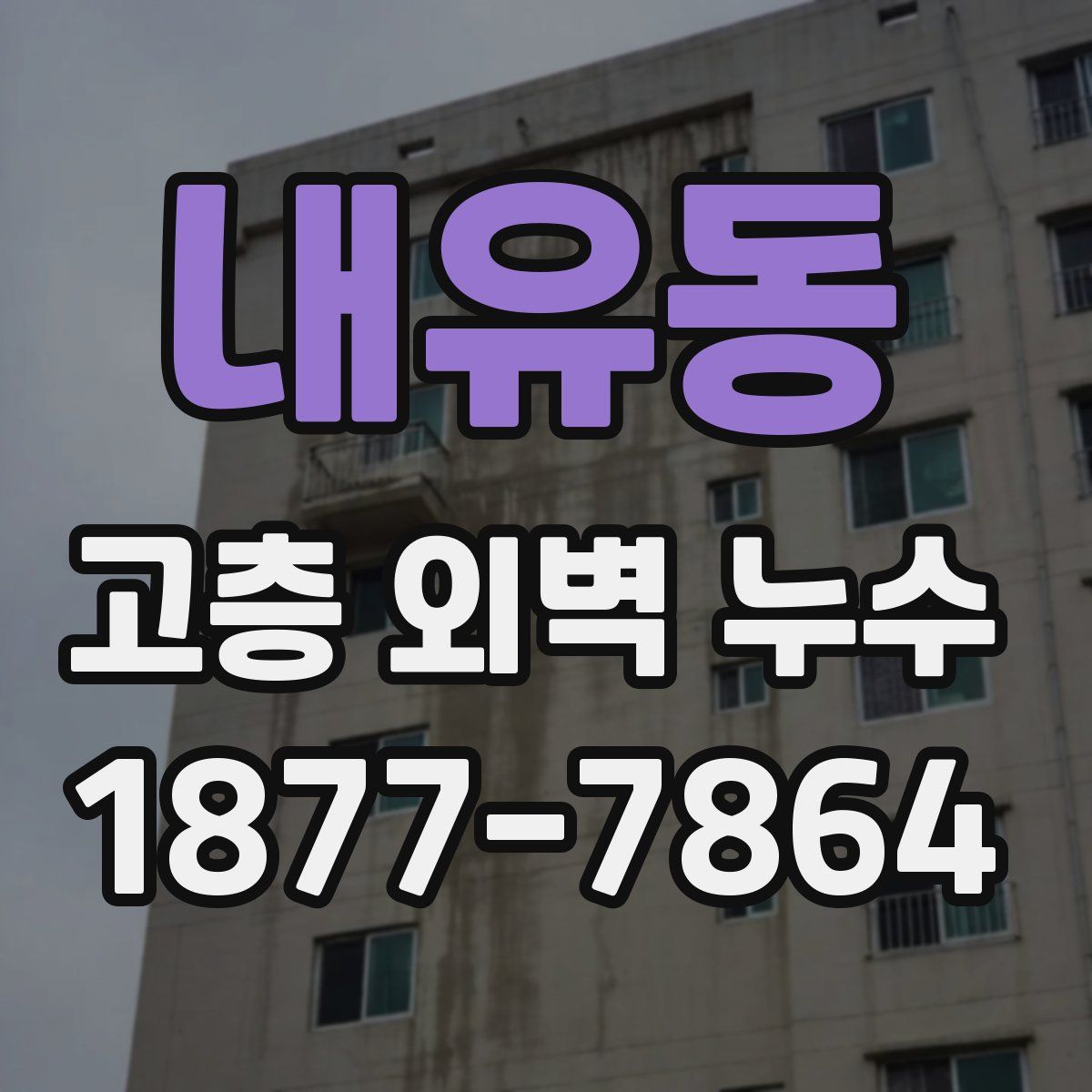 내유동 고층 외벽 누수