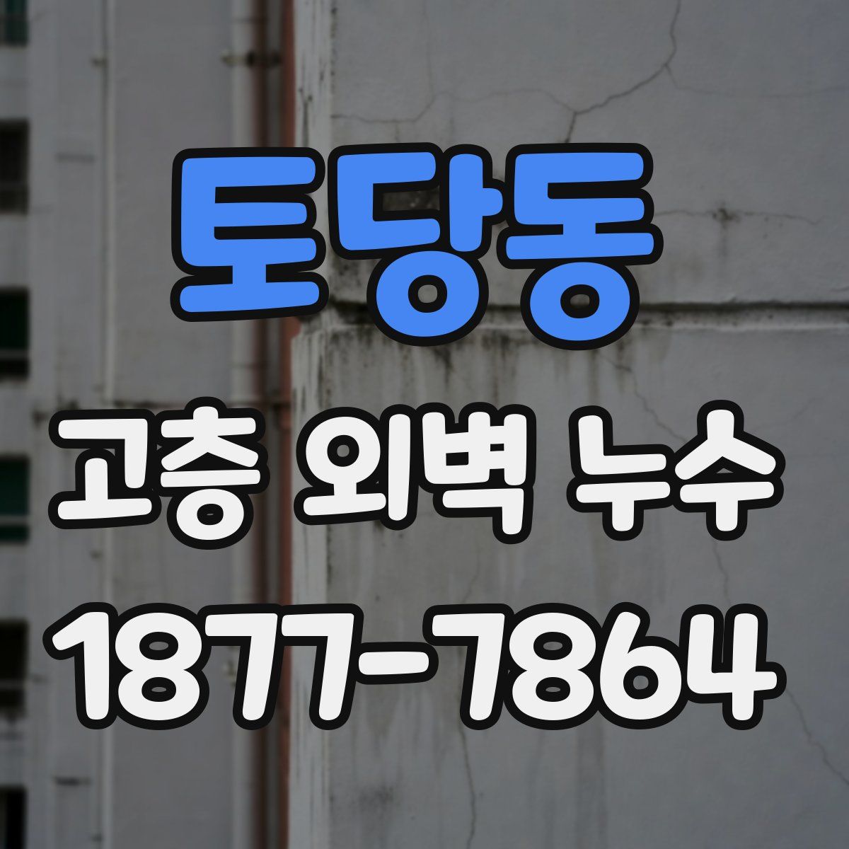 토당동 고층 외벽 누수