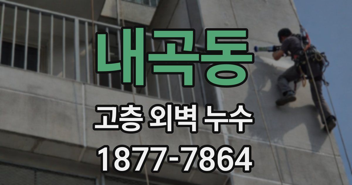 내곡동 고층 외벽 누수