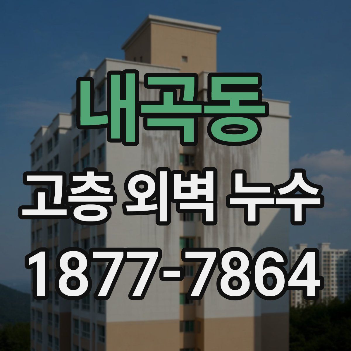 내곡동 고층 외벽 누수