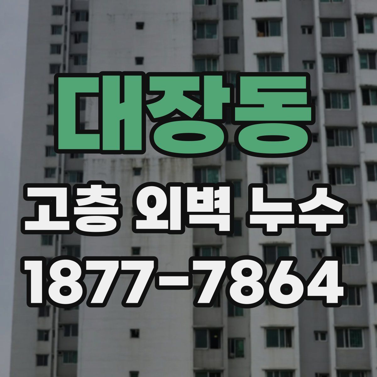 대장동 고층 외벽 누수