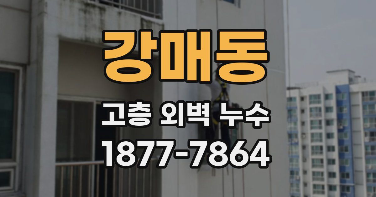 강매동 고층 외벽 누수