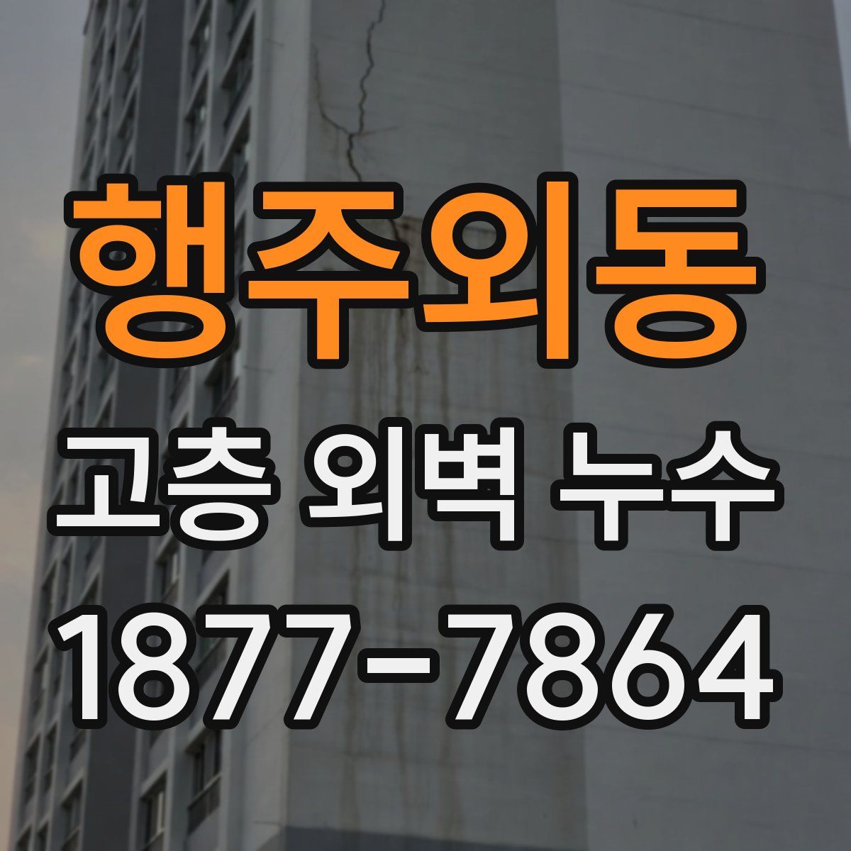 행주외동 고층 외벽 누수