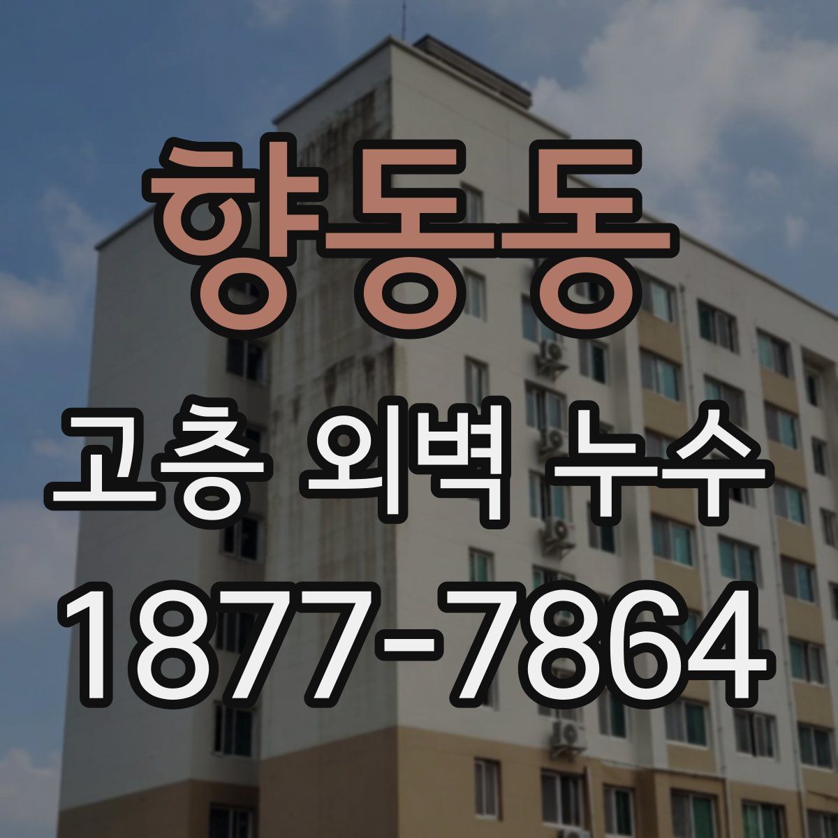 향동동 고층 외벽 누수