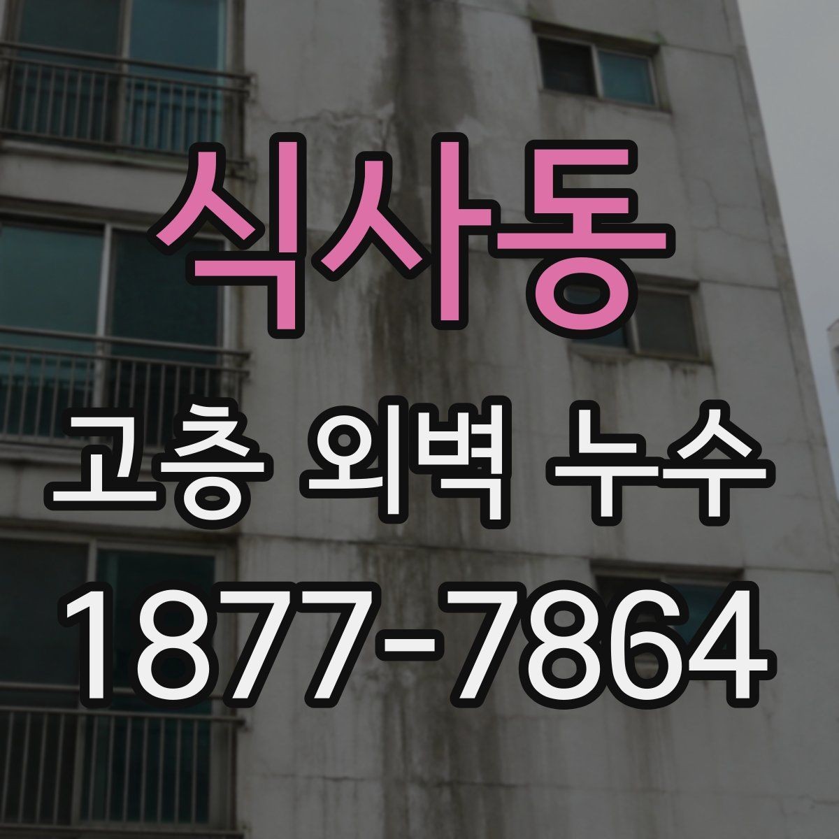 식사동 고층 외벽 누수 의심 시 전문가 상담이 필요한 순간