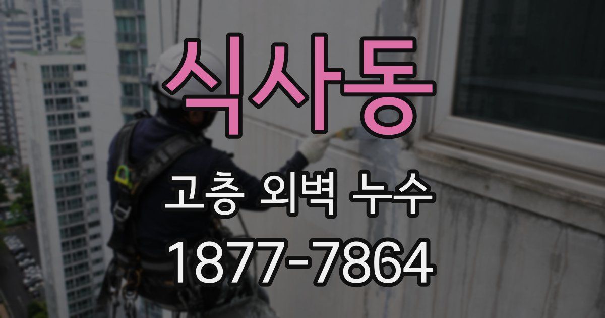 식사동 고층 외벽 누수