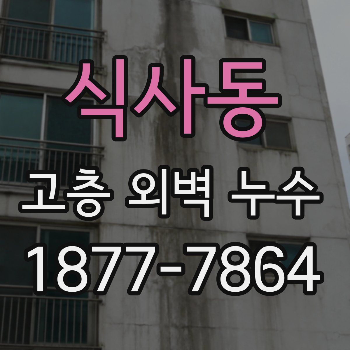 식사동 고층 외벽 누수