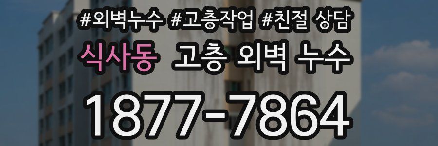 식사동 고층 외벽 누수